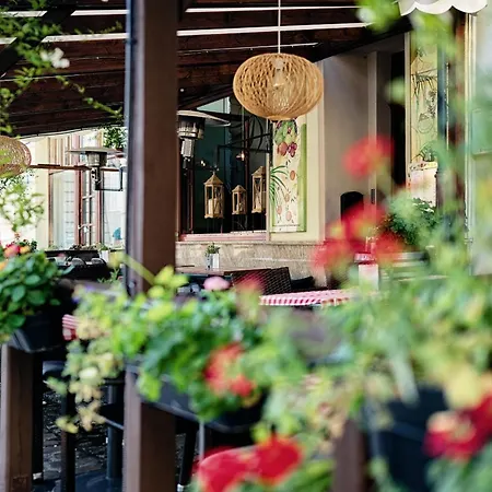 Katarynka Stary Rynek *