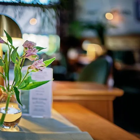 아파트 Katarynka Stary Rynek