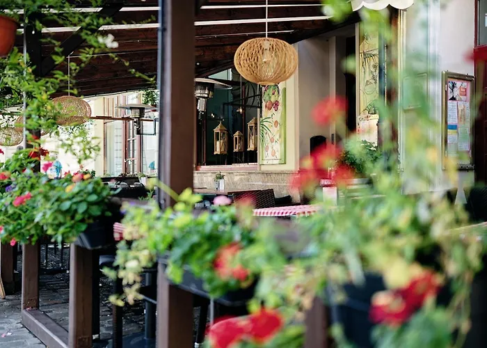 Katarynka Stary Rynek *