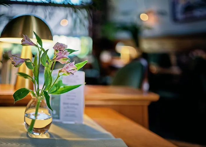 Apartamento Katarynka Stary Rynek